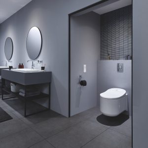 How to choose a wall-hung toilet?